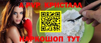 СК Краснокаменск