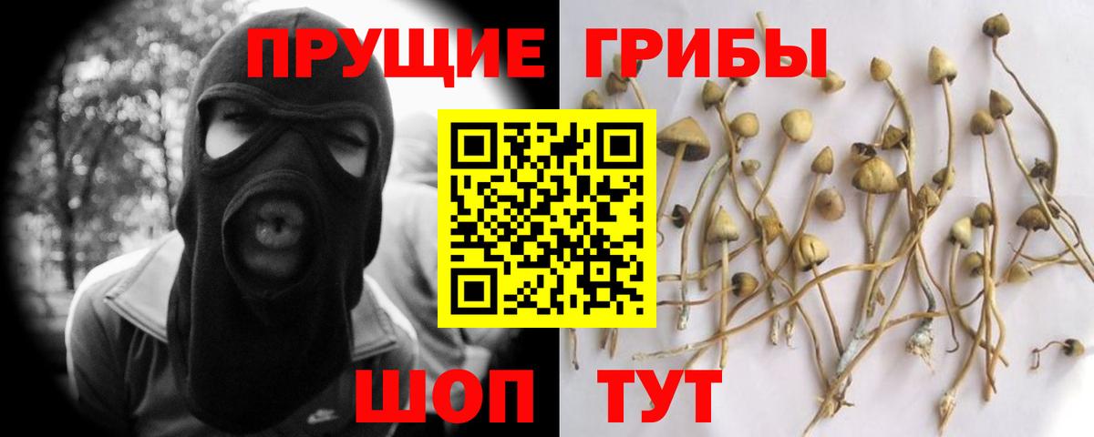 Псилоцибиновые грибы Cubensis  Вход с VPN  Кизляр  Псилоцибиновые грибы GOLDEN TEACHER 